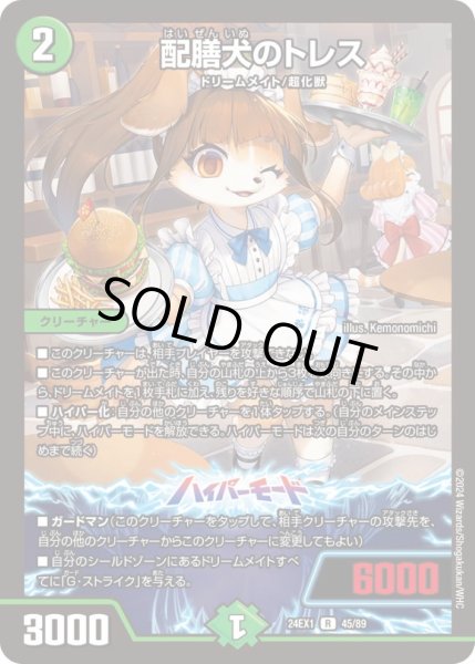 画像1: 配膳犬のトレス【R】{24EX145/89}《自然》 (1)