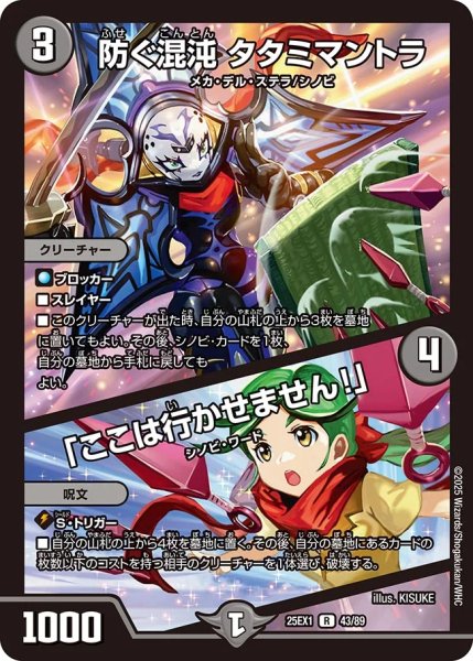 画像1: 防ぐ混沌 タタミマントラ／「ここは行かせません！」（43/89） (1)