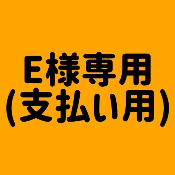 画像1: E様専用(支払い用) (1)