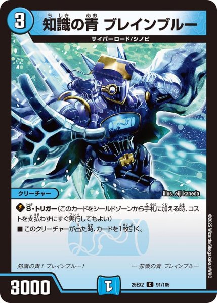 画像1: 知識の青 ブレインブルー（91/105） (1)