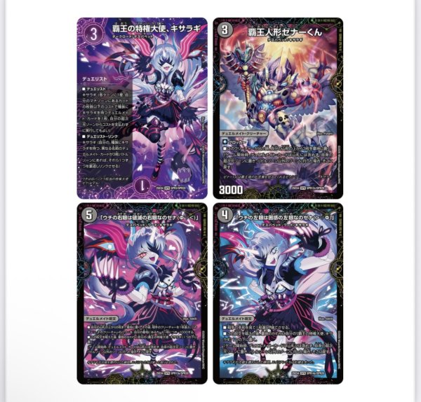 画像1: 【セット販売】キサラギセット (1)