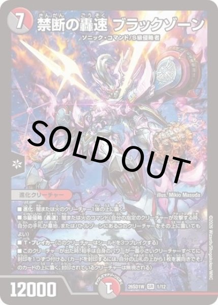 禁断の轟速 ブラックゾーン（DM26-SD1-W 1/12 SR） 10