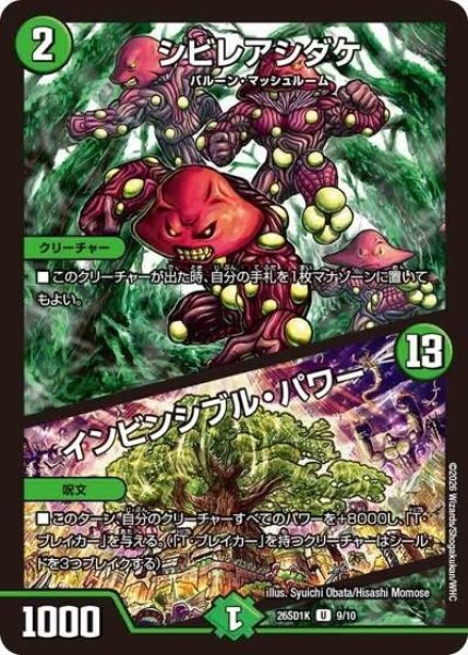 シビレアシダケ/インビンシブル・パワー（DM26-SD1-K 9/10 U） 10